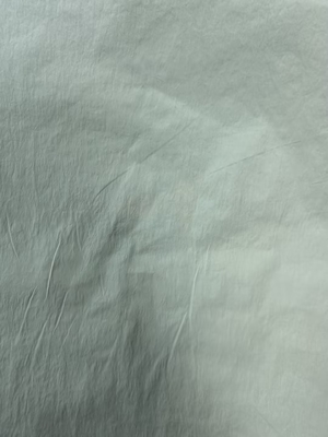 40D*40D 100%N 90GSM Nylonstoff