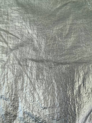 20D*20D 100%N 40GSM Nylonstoff