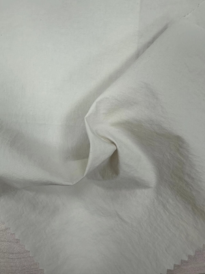 81 gm 40D*68D 100%N Nylon Taslon