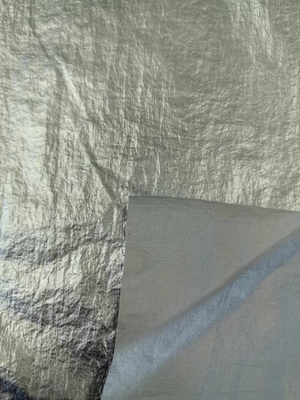 20D*20D 100%N 40GSM Nylonstoff