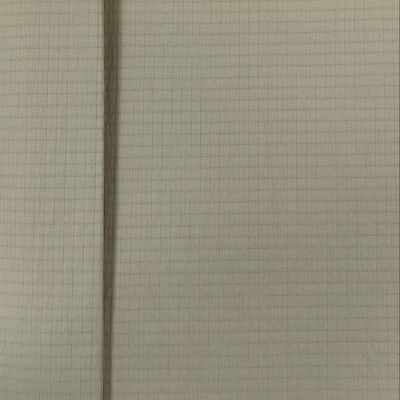 40D*40D+100D 100%N 122±3GSM Nylonstoff